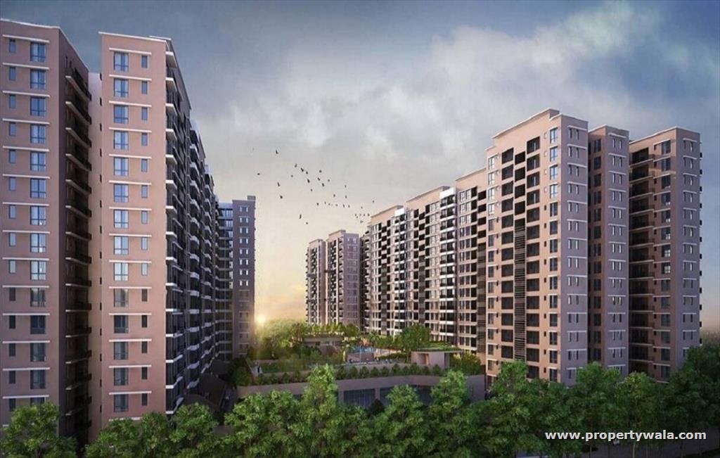 Primarc Ostrum in Kolkata — photo 6