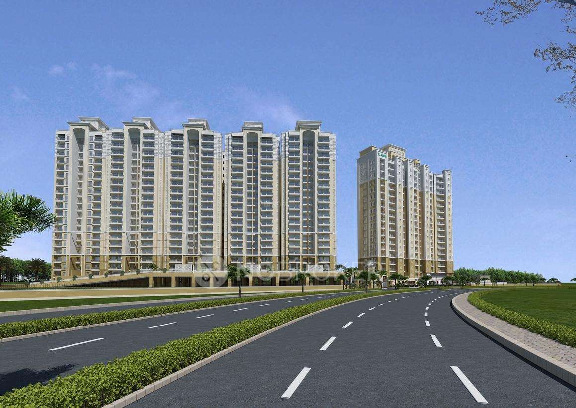 Oasis Venetia Heights in Greater Noida — photo 2