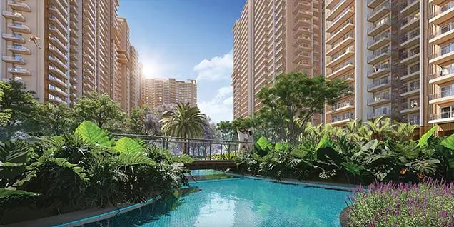 Ivory County in Noida — photo 2