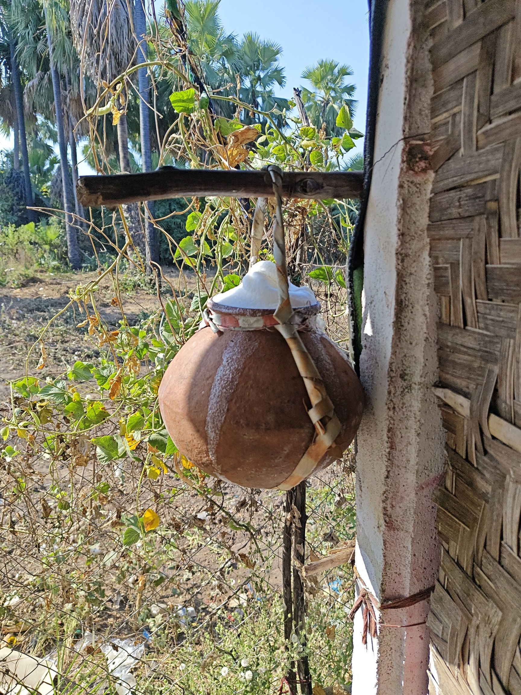 COCOLA MANSION in Kolkata — photo 6