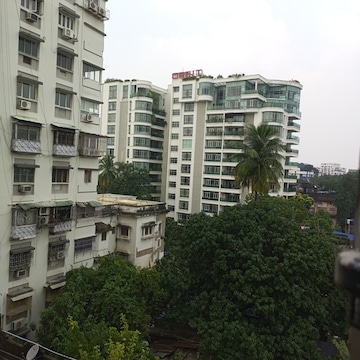 ORBIT FLORA in Kolkata — photo 1