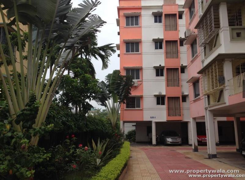 RUPAYAN BLUEBELL in Kolkata — photo 3