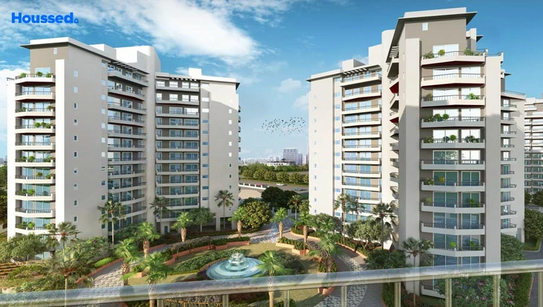 MACEO in Gurugram — photo 1