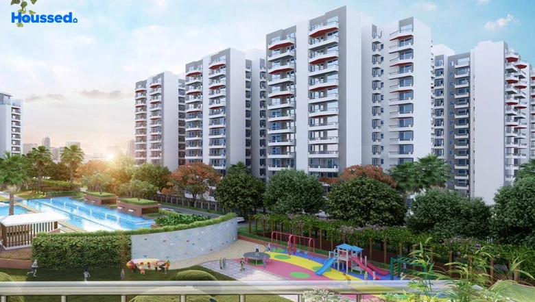 MACEO in Gurugram — photo 2