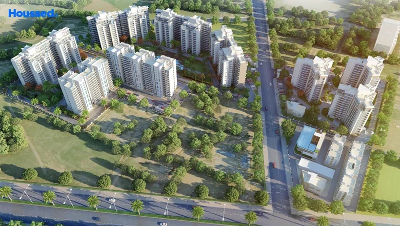 MACEO in Gurugram — photo 4