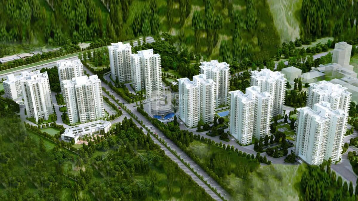 M2K OLIVE GREENS in Gurugram — photo 3