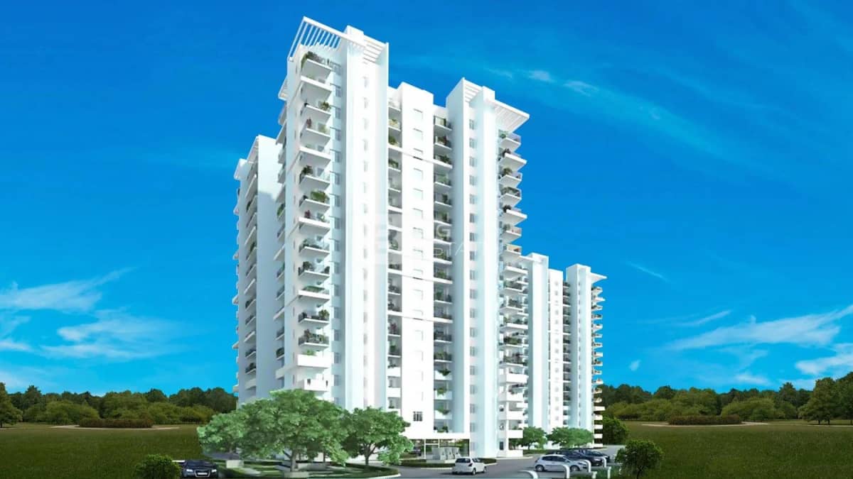 M2K OLIVE GREENS in Gurugram — photo 5