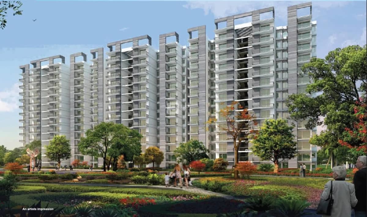 M2K OLIVE GREENS in Gurugram — photo 6