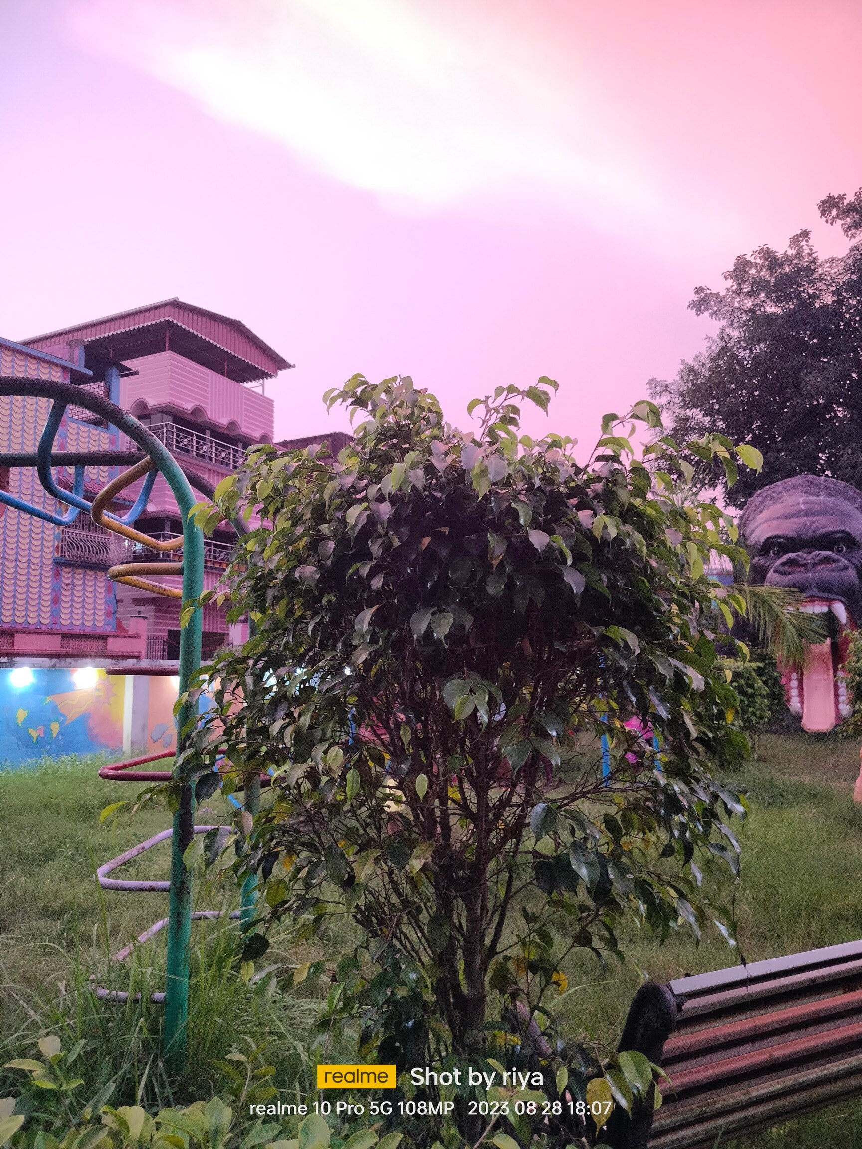 ASHA BITAN in Kolkata — photo 1