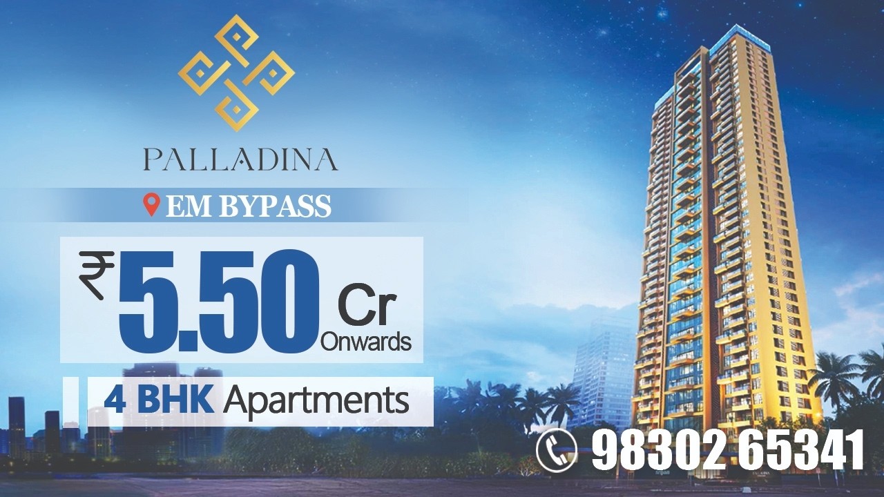 Palladina in Kolkata — photo 5