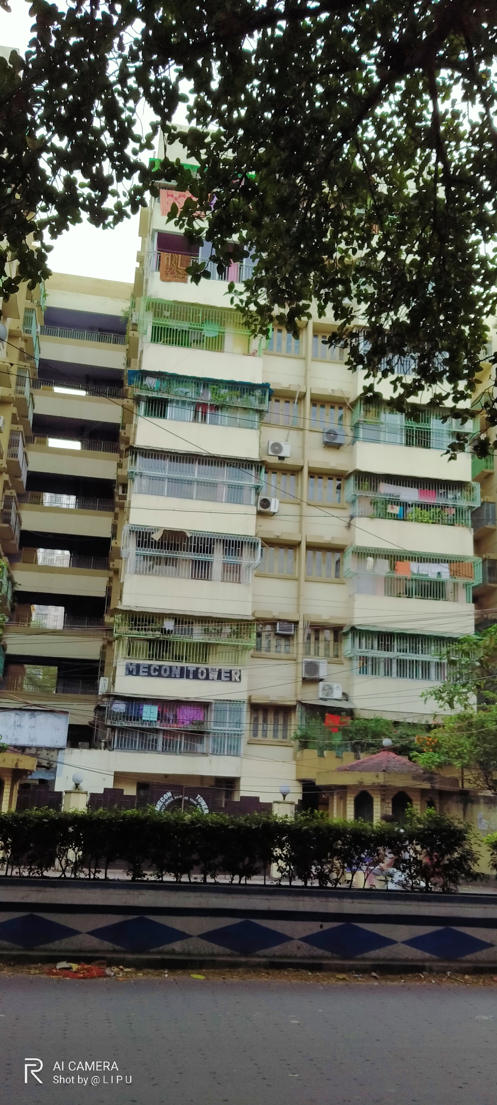 RONG TULI in Kolkata — photo 5