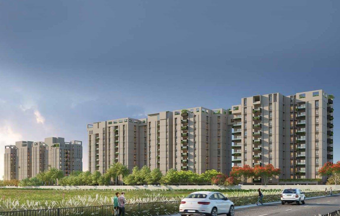 INTELLIA in Siliguri — photo 2