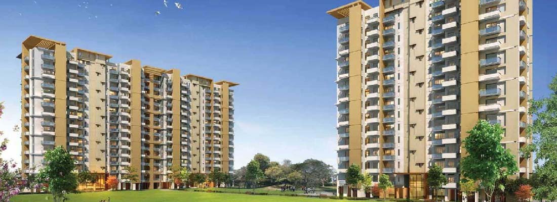 IT COLONY ( COMMERCE PARK) in Gurugram — photo 1