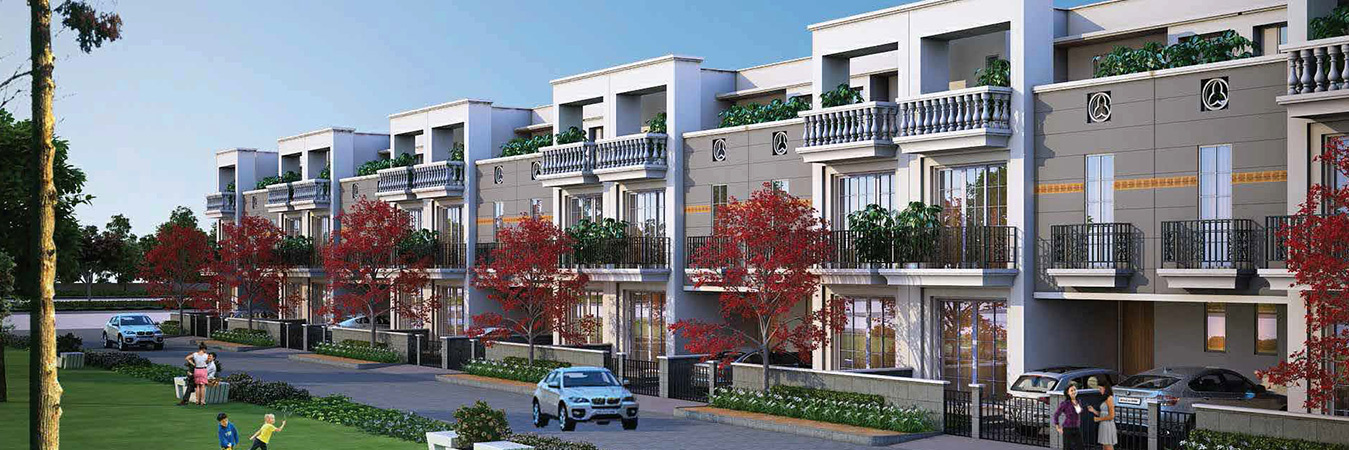 Gaur City 1 in Greater Noida — photo 1