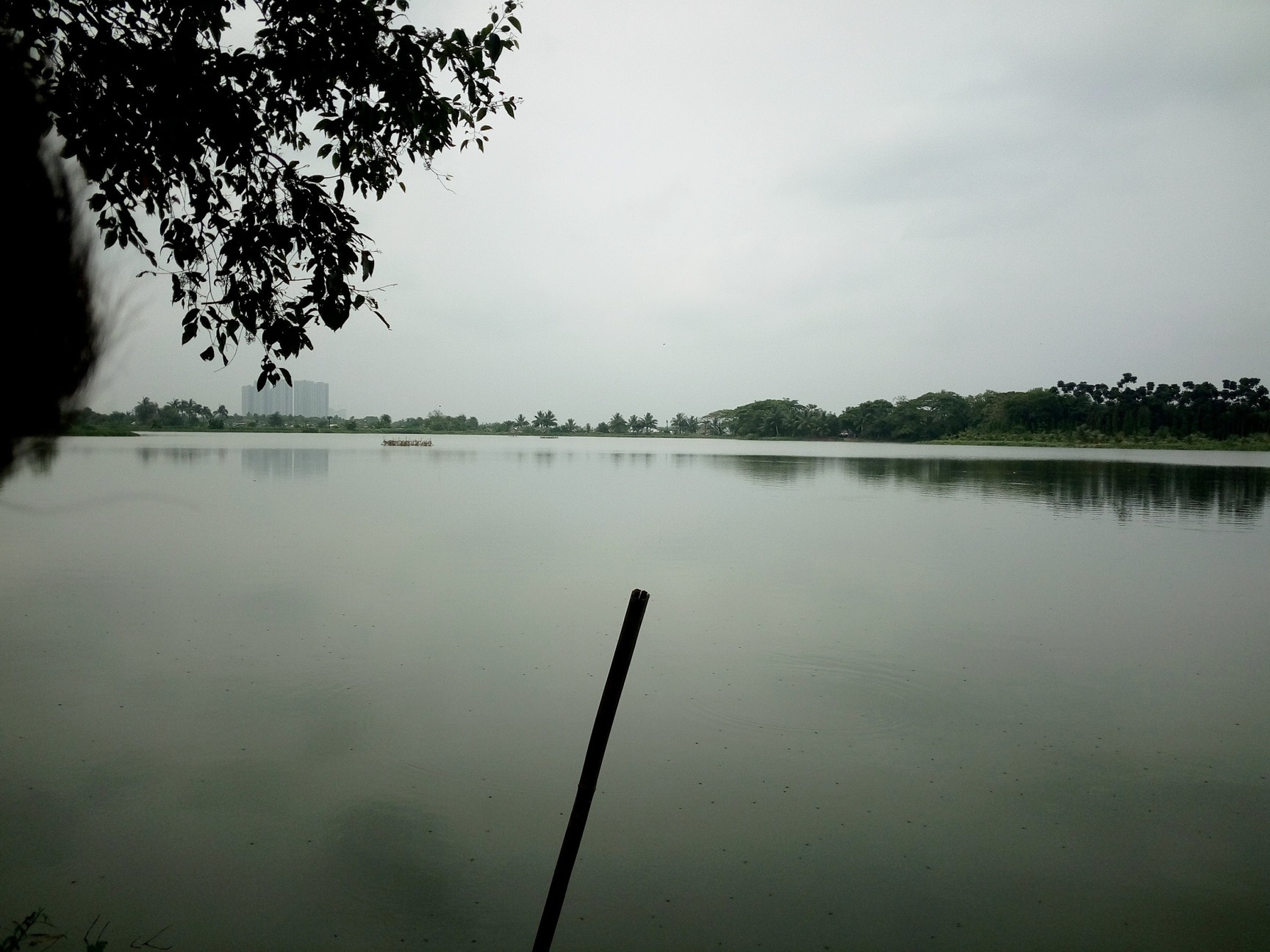 Samyra Park in Kolkata — photo 6