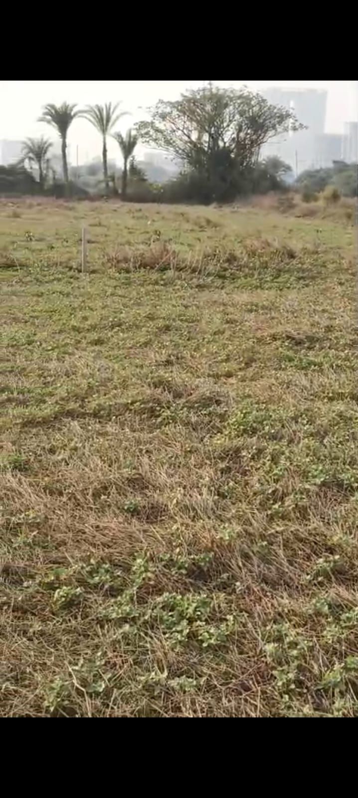 plot in Rasapunja, Thakurpukur, Kolkata, Kolkata — photo 2