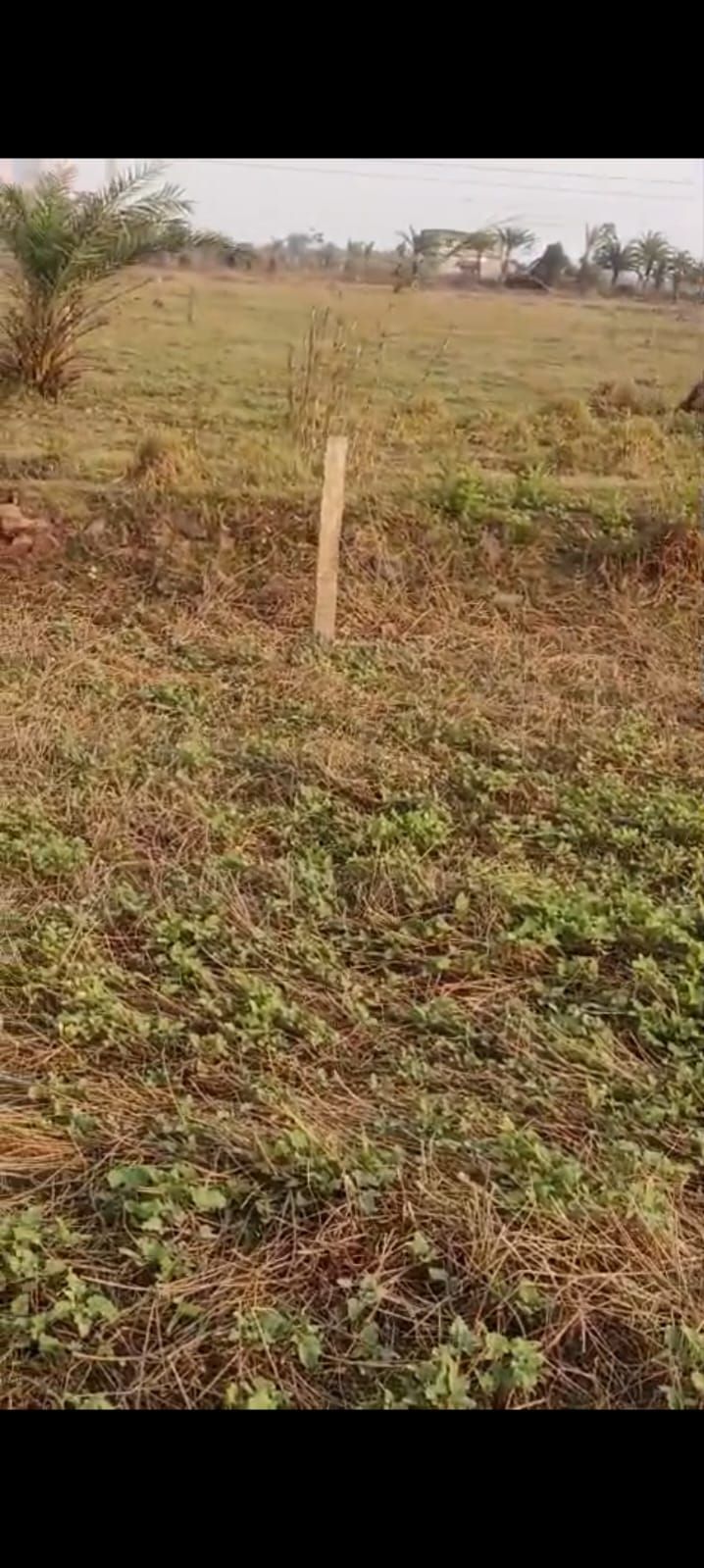 plot in Rasapunja, Thakurpukur, Kolkata, Kolkata — photo 1